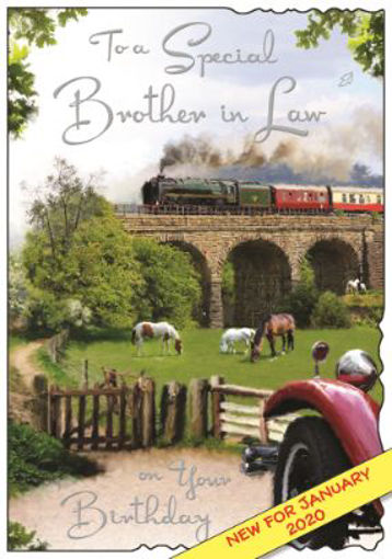Picture of SPECIAL BROTHER IN LAW BIRTHDAY CARD
